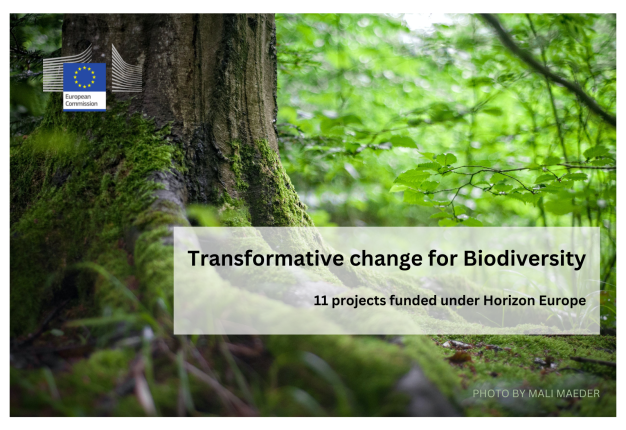 TRANSPATH participates in the first cluster event on Transformative Change for Biodiversity