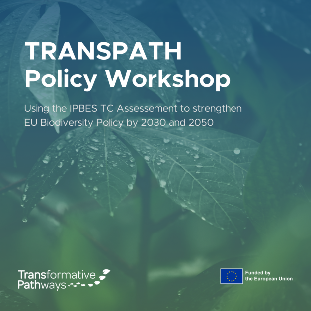 TRANSPATH Workshop on Transformative Change