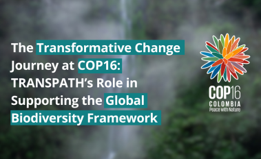 The Transformative Change Journey at COP16: TRANSPATH’s Role in Supporting the Global Biodiversity Framework