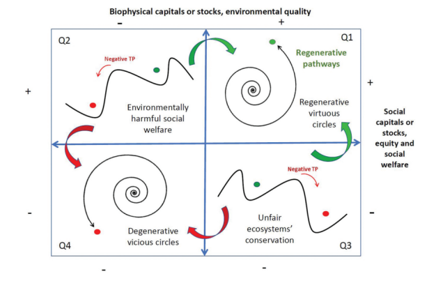 Regenerative sustainability: TRANSPATH’s first scientific publication