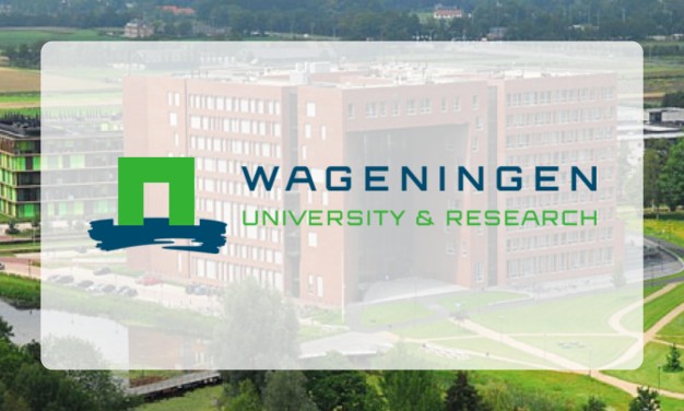 Co-creating transformative pathways for a thriving society and nature: WUR feature