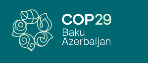 COP 29