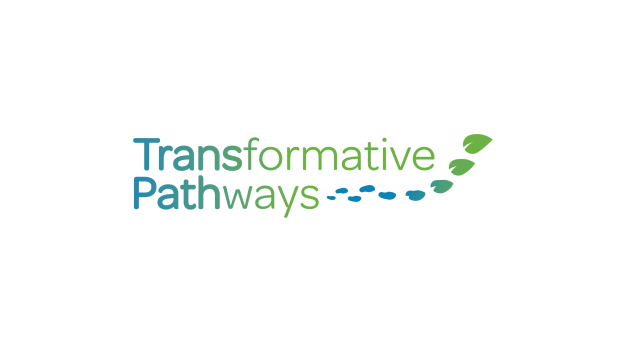 Shifting to sustainable extraction, production, consumption and trade patterns: TRANSPATH project