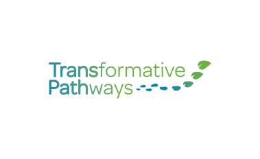 Shifting to sustainable extraction, production, consumption and trade patterns: TRANSPATH project