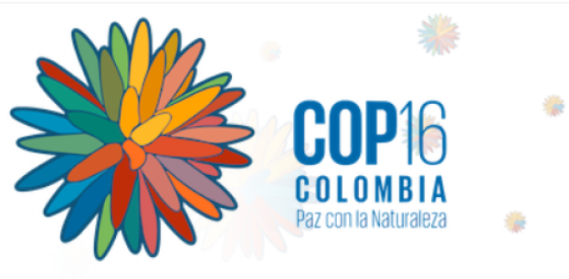 UN CBD COP-16