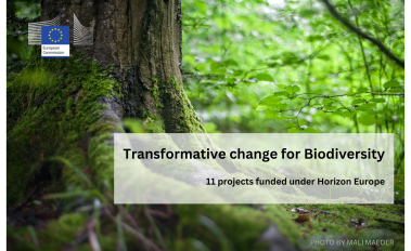 TRANSPATH participates in the first cluster event on Transformative Change for Biodiversity