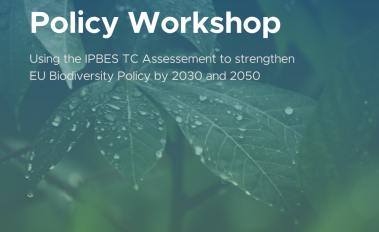 TRANSPATH Workshop on Transformative Change