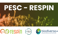 PESC-RESPIN Joint Meeting