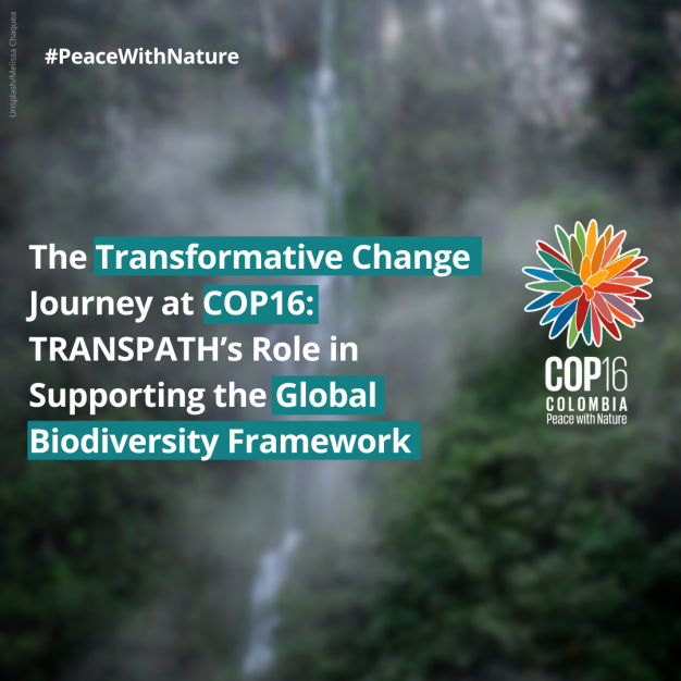 The Transformative Change Journey at COP16: TRANSPATH’s Role in Supporting the Global Biodiversity Framework