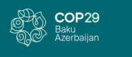 COP 29