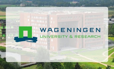 Co-creating transformative pathways for a thriving society and nature: WUR feature